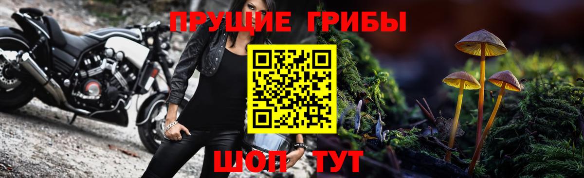 Сокол  Галлюциногенные грибы Cubensis  Галлюциногенные грибы мухоморы  наркота  Вход с VPN 